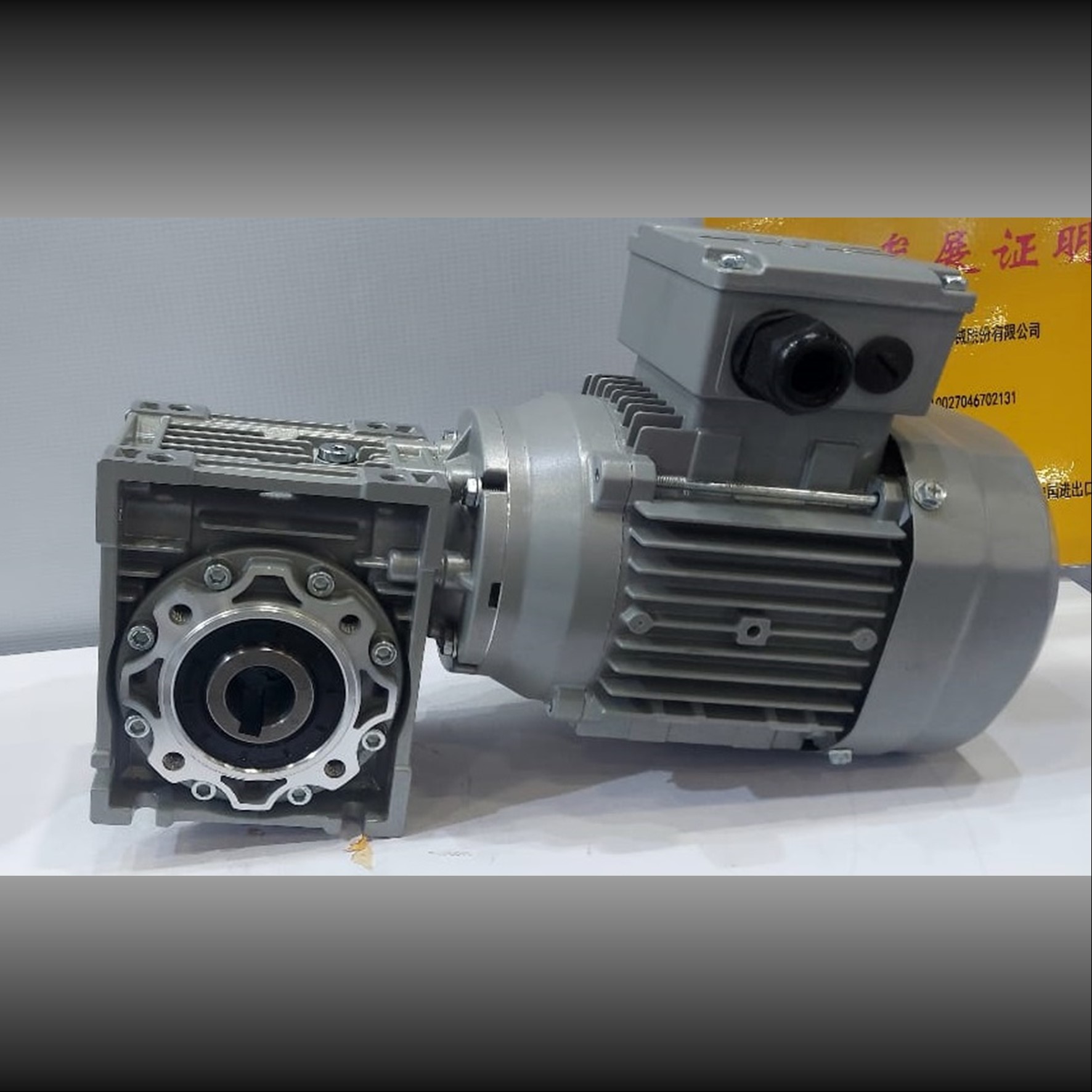 NMRV Right-Angled Worm Geared Motor- 2HP Rating - 1:25 Gear Ratio - Image 7